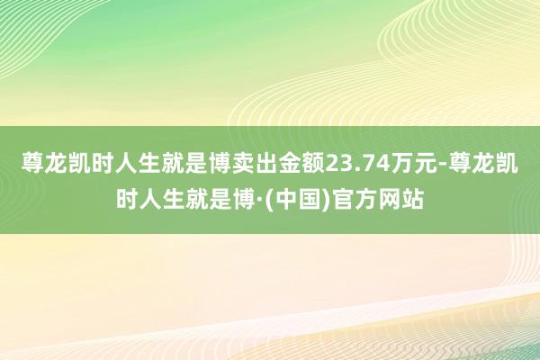 尊龙凯时人生就是博卖出金额23.74万元-尊龙凯时人生就是博·(中国)官方网站