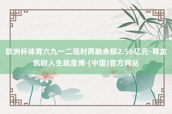 欧洲杯体育六九一二现时两融余额2.56亿元-尊龙凯时人生就是博·(中国)官方网站