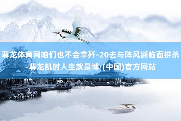 尊龙体育网咱们也不会拿歼-20去与阵风濒临面拼杀-尊龙凯时人生就是博·(中国)官方网站