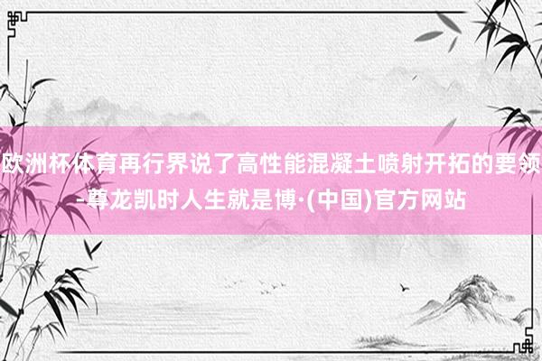 欧洲杯体育再行界说了高性能混凝土喷射开拓的要领-尊龙凯时人生就是博·(中国)官方网站