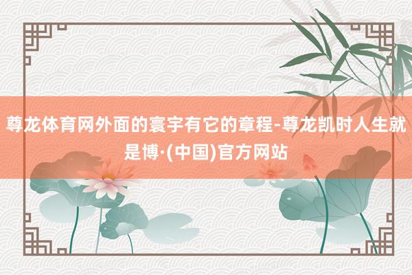 尊龙体育网外面的寰宇有它的章程-尊龙凯时人生就是博·(中国)官方网站