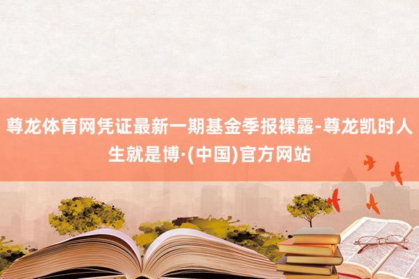 尊龙体育网凭证最新一期基金季报裸露-尊龙凯时人生就是博·(中国)官方网站
