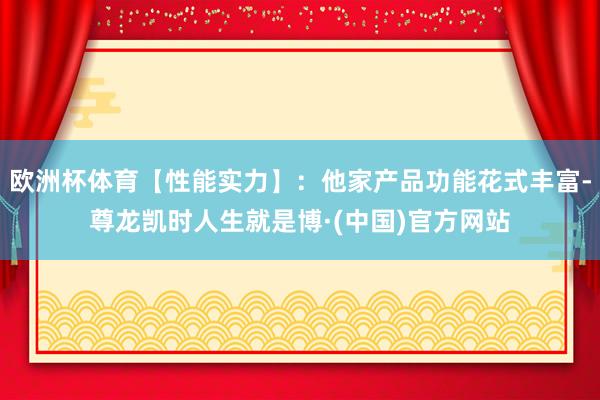 欧洲杯体育【性能实力】：他家产品功能花式丰富-尊龙凯时人生就是博·(中国)官方网站