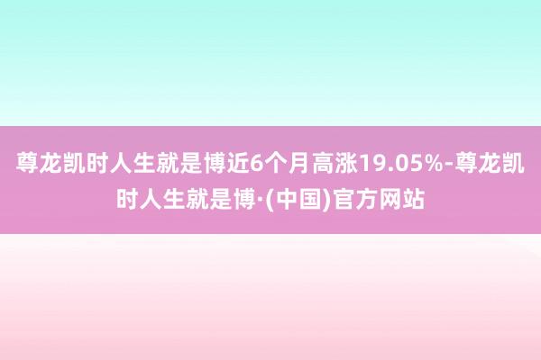 尊龙凯时人生就是博近6个月高涨19.05%-尊龙凯时人生就是博·(中国)官方网站