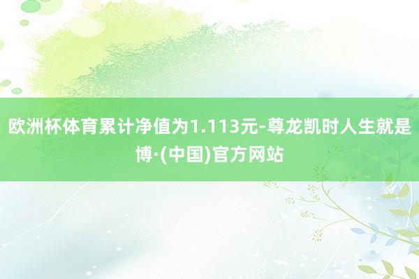 欧洲杯体育累计净值为1.113元-尊龙凯时人生就是博·(中国)官方网站