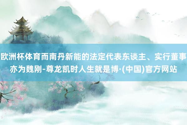 欧洲杯体育而南丹新能的法定代表东谈主、实行董事亦为魏刚-尊龙凯时人生就是博·(中国)官方网站