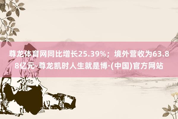 尊龙体育网同比增长25.39%；境外营收为63.88亿元-尊龙凯时人生就是博·(中国)官方网站