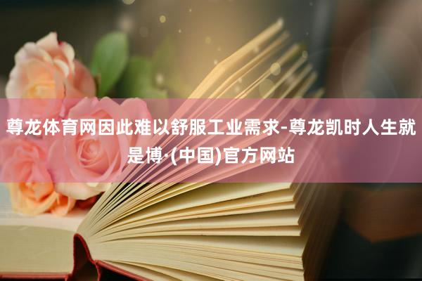 尊龙体育网因此难以舒服工业需求-尊龙凯时人生就是博·(中国)官方网站