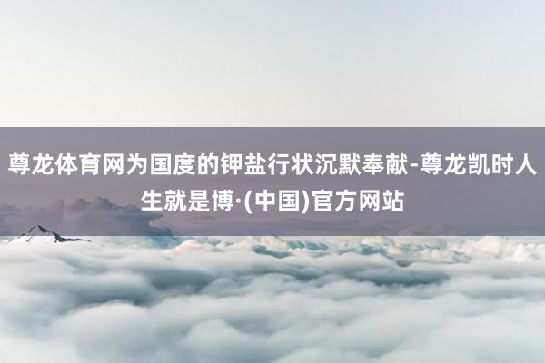 尊龙体育网为国度的钾盐行状沉默奉献-尊龙凯时人生就是博·(中国)官方网站