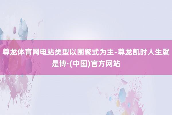 尊龙体育网电站类型以围聚式为主-尊龙凯时人生就是博·(中国)官方网站