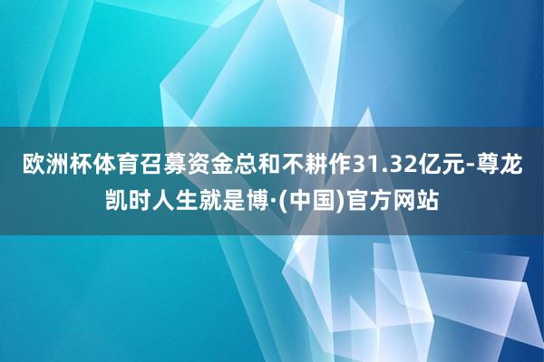 欧洲杯体育召募资金总和不耕作31.32亿元-尊龙凯时人生就是博·(中国)官方网站