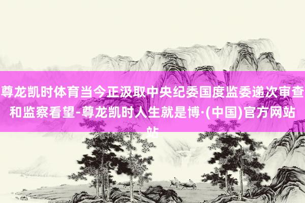 尊龙凯时体育当今正汲取中央纪委国度监委递次审查和监察看望-尊龙凯时人生就是博·(中国)官方网站