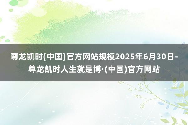 尊龙凯时(中国)官方网站规模2025年6月30日-尊龙凯时人生就是博·(中国)官方网站
