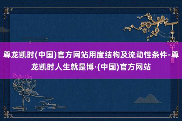 尊龙凯时(中国)官方网站用度结构及流动性条件-尊龙凯时人生就是博·(中国)官方网站