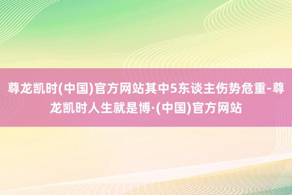 尊龙凯时(中国)官方网站其中5东谈主伤势危重-尊龙凯时人生就是博·(中国)官方网站
