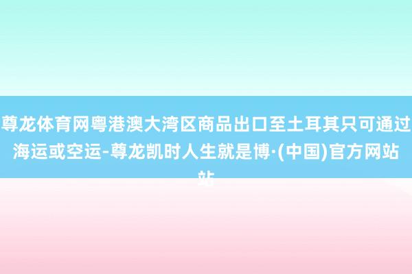 尊龙体育网粤港澳大湾区商品出口至土耳其只可通过海运或空运-尊龙凯时人生就是博·(中国)官方网站