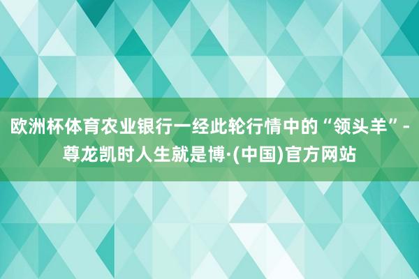 欧洲杯体育农业银行一经此轮行情中的“领头羊”-尊龙凯时人生就是博·(中国)官方网站