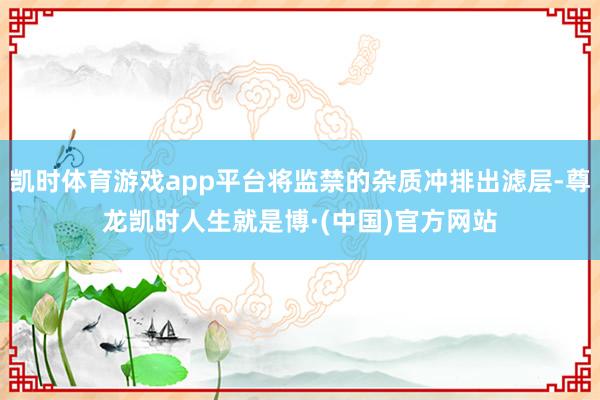 凯时体育游戏app平台将监禁的杂质冲排出滤层-尊龙凯时人生就是博·(中国)官方网站