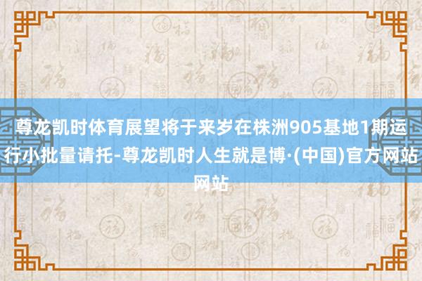 尊龙凯时体育展望将于来岁在株洲905基地1期运行小批量请托-尊龙凯时人生就是博·(中国)官方网站