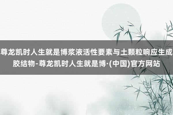 尊龙凯时人生就是博浆液活性要素与土颗粒响应生成胶结物-尊龙凯时人生就是博·(中国)官方网站