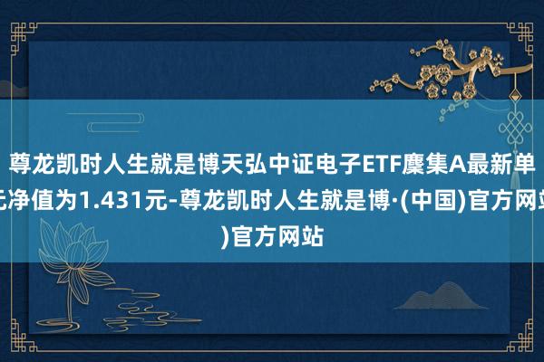 尊龙凯时人生就是博天弘中证电子ETF麇集A最新单元净值为1.431元-尊龙凯时人生就是博·(中国)官方网站