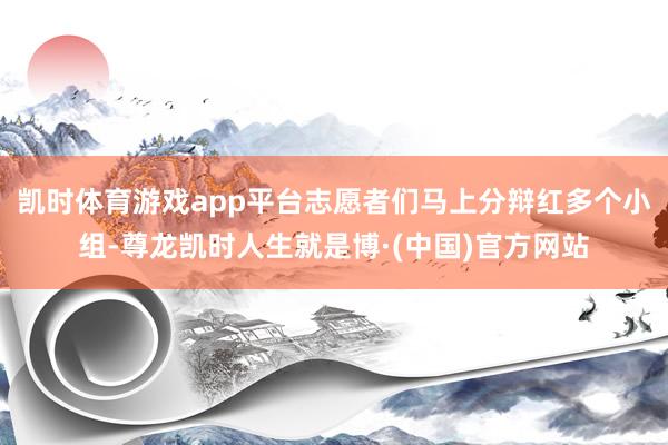 凯时体育游戏app平台志愿者们马上分辩红多个小组-尊龙凯时人生就是博·(中国)官方网站